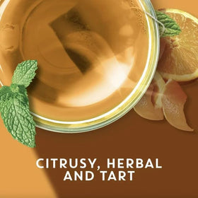 TAZO Wild Sweet Orange iced tea served over ice for a refreshing chill