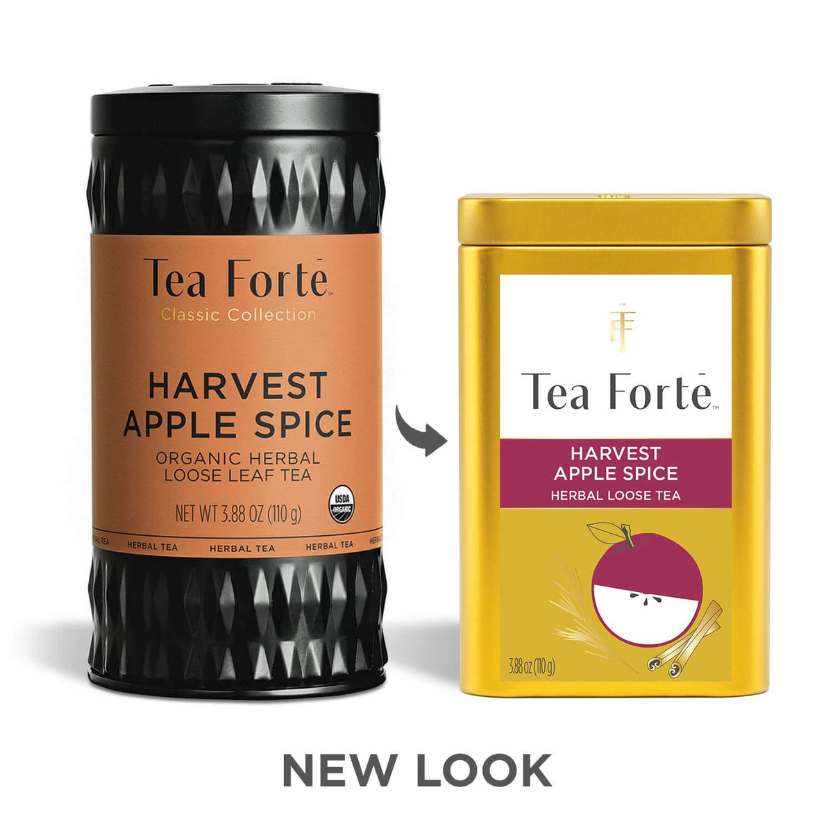 Tea Forte Harvest Apple Spice canister back view with distinctive artwork.