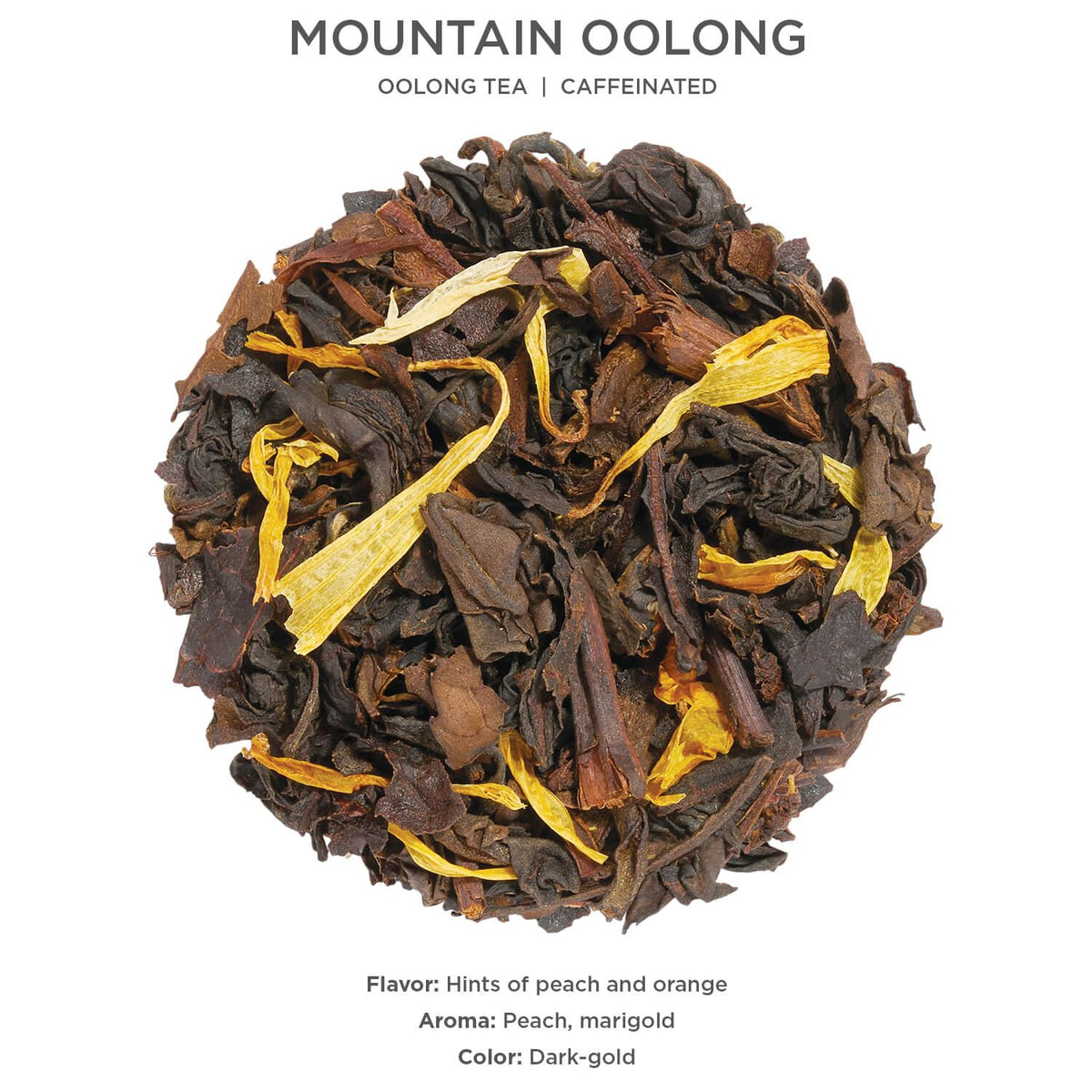 Tea Forte Mountain Oolong loose tea leaves photographed in a scoop ready for infusion