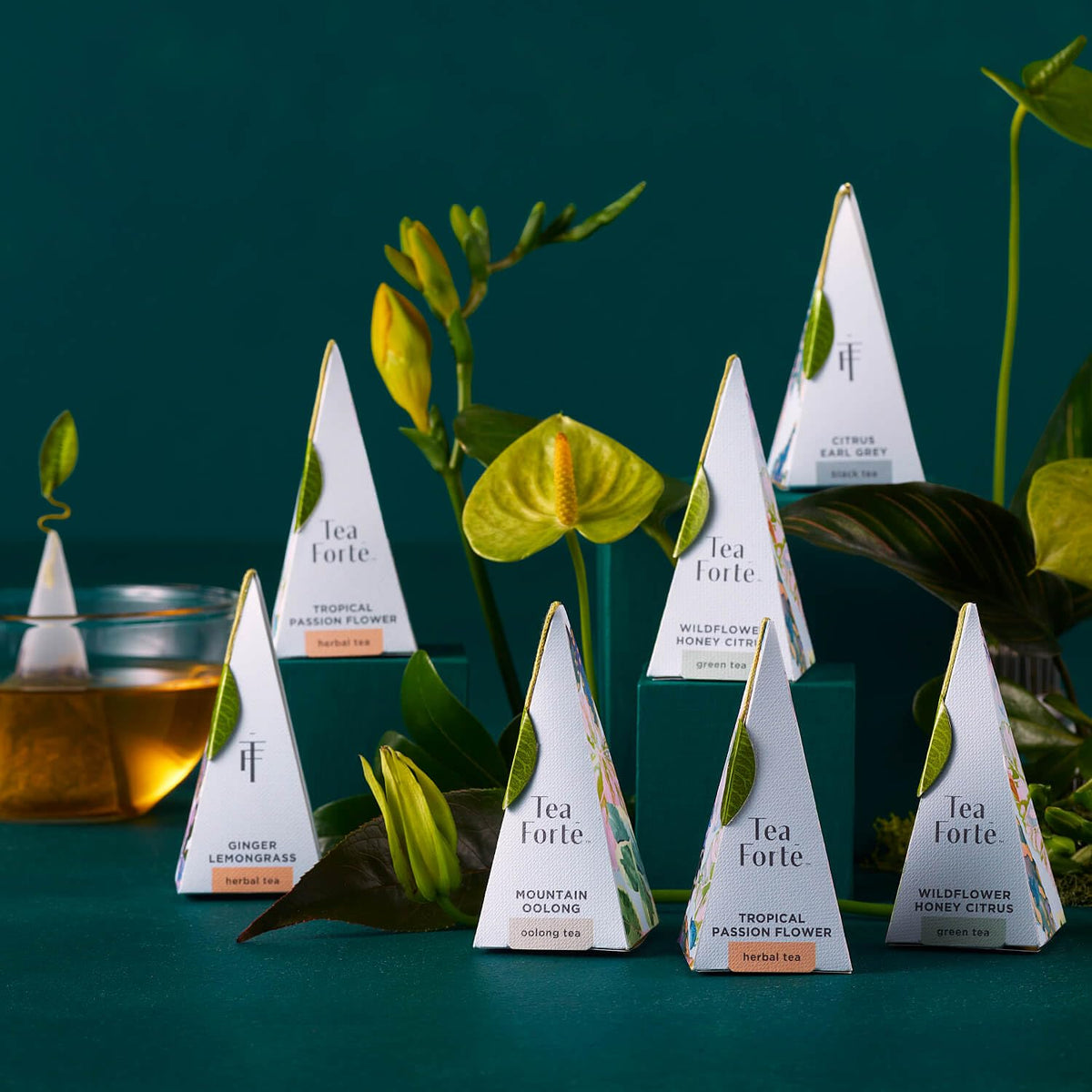Tea Forte steaming cup highlighting aromatic herbal blends