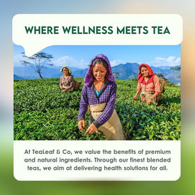 Tea Leaf & Co. Classic Green Tea glass cup shows a pale refreshing infusion.