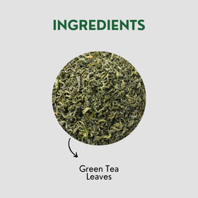 Tea Leaf & Co. Classic Green Tea loose-leaf close-up of fresh leaves for aroma.