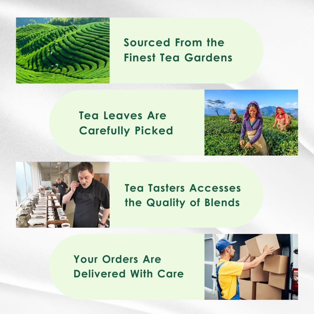 Tea Leaf & Co. Classic Green Tea storage tin keeping leaves fresh and gluten-free.