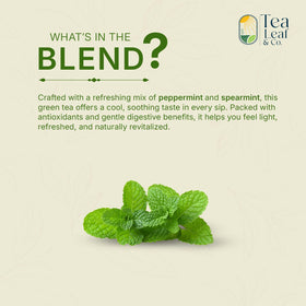 Tea Leaf & Co. eco-friendly packaging, plastic-free and resealable