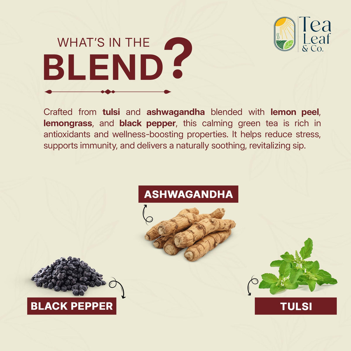 Tea Leaf & Co. Green tea bags steeping for a refreshing, low-caffeine moment.