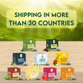 Tea Leaf & Co Sweet Hibiscus Green Tea bag close-up highlights natural ingredients.