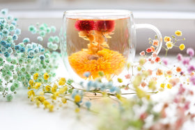 Teabloom Flowering Tea Fairy Lily Blossom: delicate petals unfurl for a soothing brew