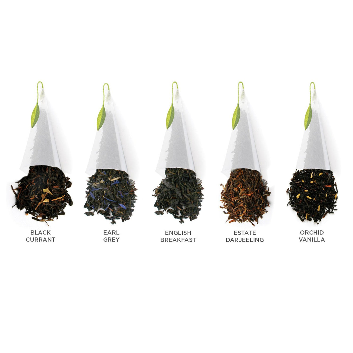 Tea Forte English Breakfast cup, robust aroma in each brew