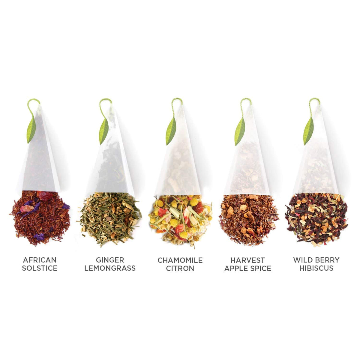 Tea Forte Ginger Lemongrass pyramid teabag with fragrant spice