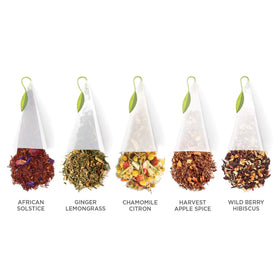 Tea Forte Ginger Lemongrass pyramid teabag with fragrant spice