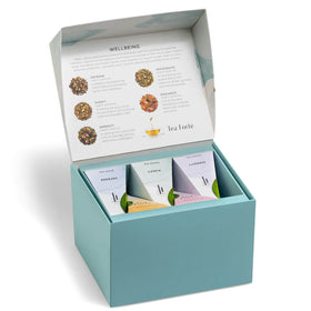 Tea Forte mini presentation box highlights premium pyramid tea bags for gifting.