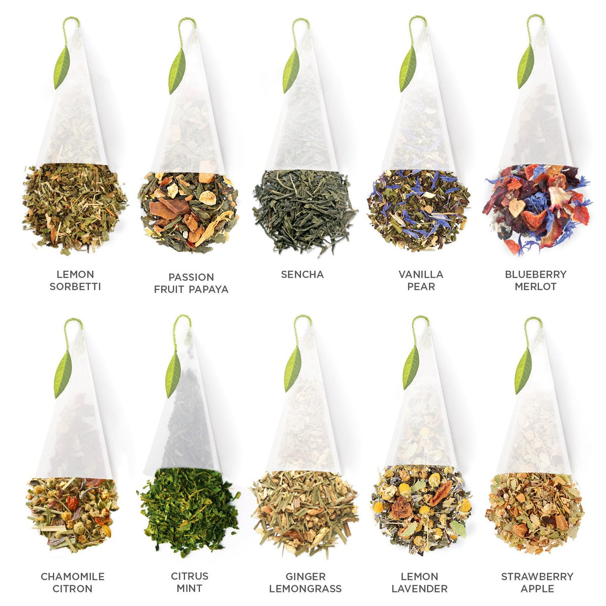 Tea Forte twenty-blend sampler highlighting variety and flavor exploration