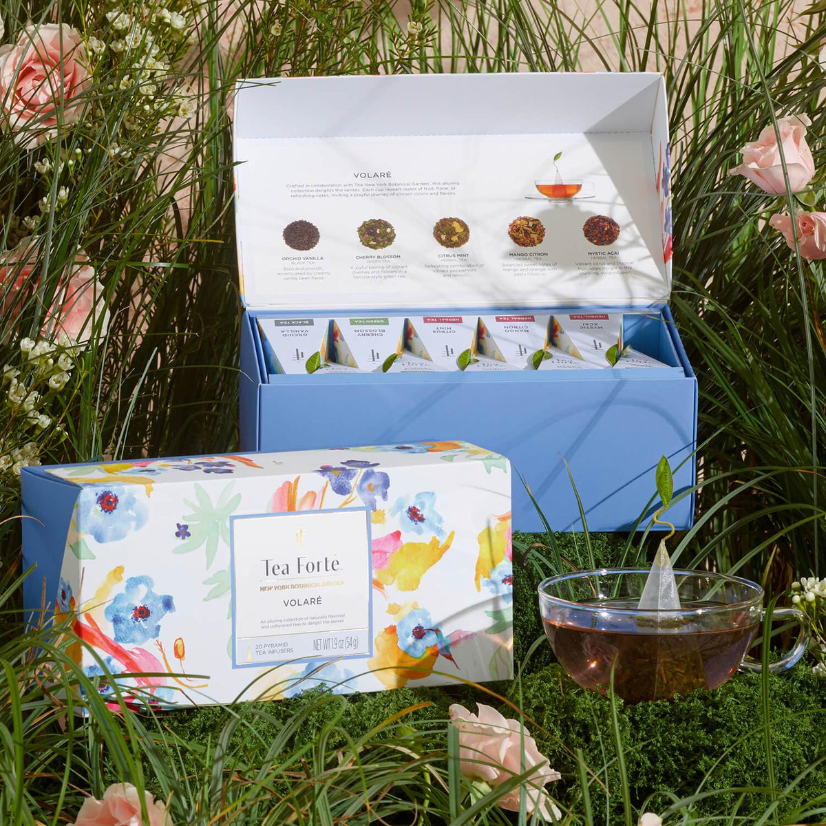 Tea Forte Volare assorted flavors invite a refined tasting.