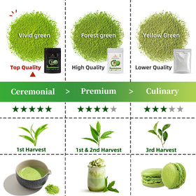 TEANAGOO Matcha hand-picked first-harvest leaves ensure authentic, vibrant flavor.