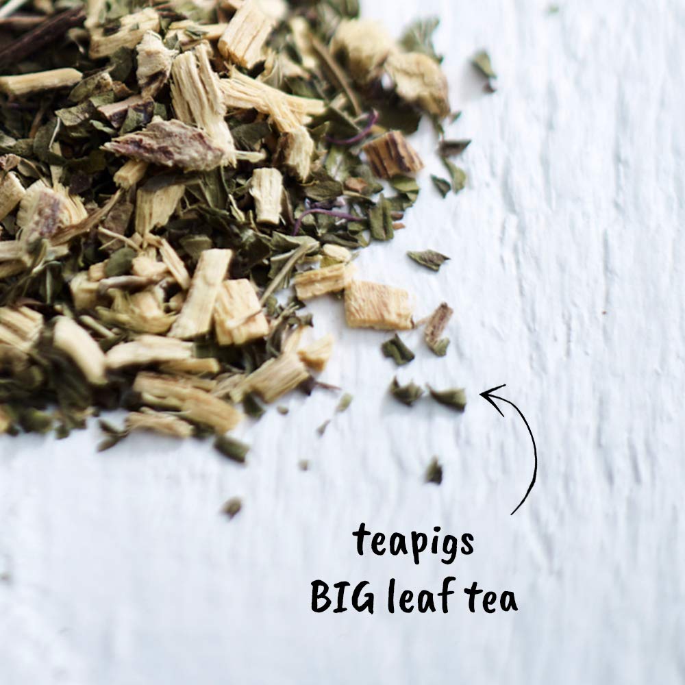 Teapigs temple brew setup showing easy loose-leaf brewing and rich aroma.