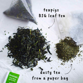 Teapigs Mao Feng tea temples close-up highlighting premium whole-leaf quality