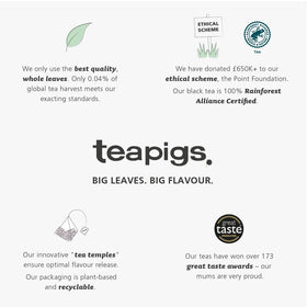 Teapigs aroma image captures minty steam and refreshing aroma.