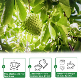 TEARELAE soursop tea packets stack, ready for quick single-bag brew.