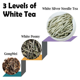 TEARELAE aroma steam suggests a gentle, refreshing tea ritual.