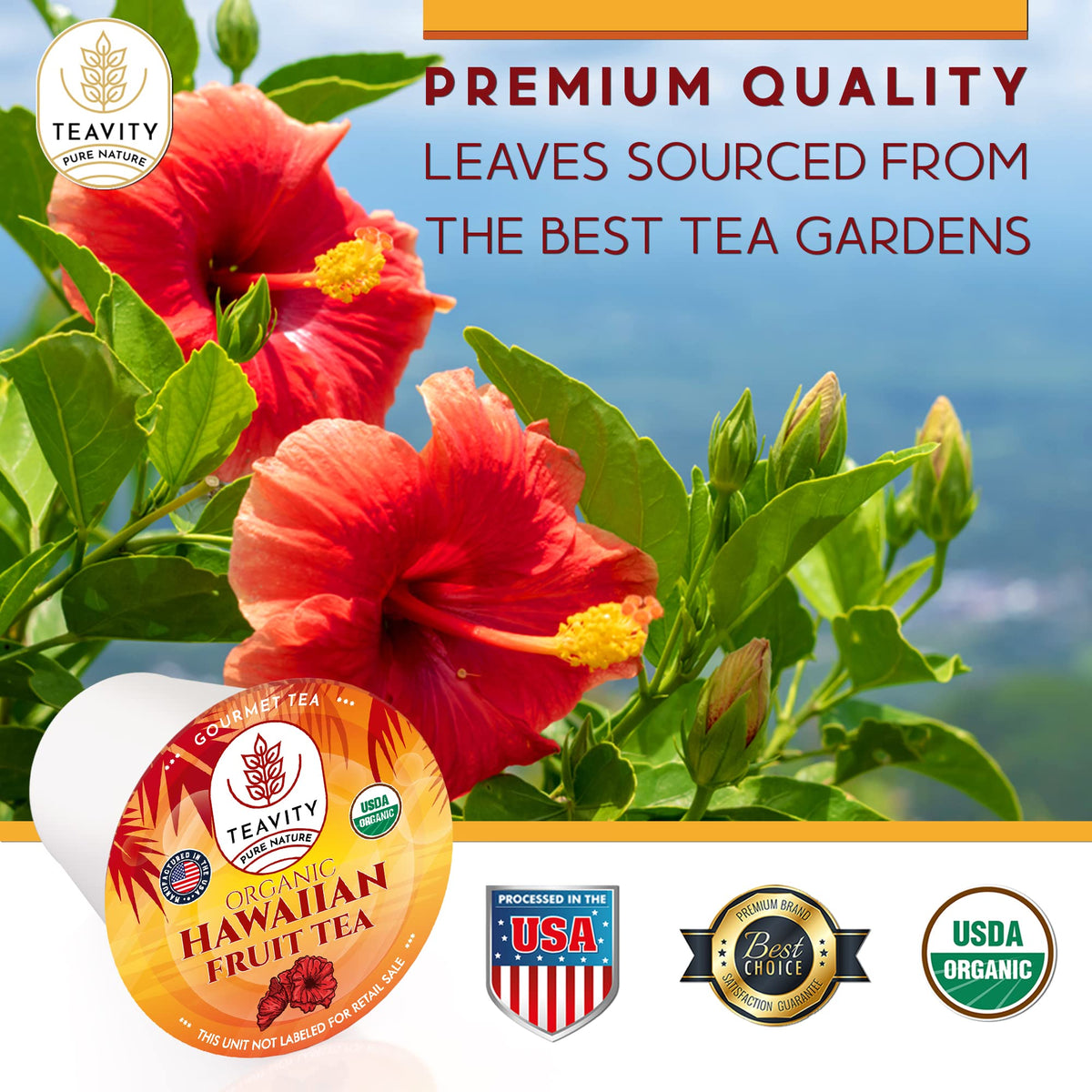 Teavity teapods hand-picked premium leaves emphasize quality.
