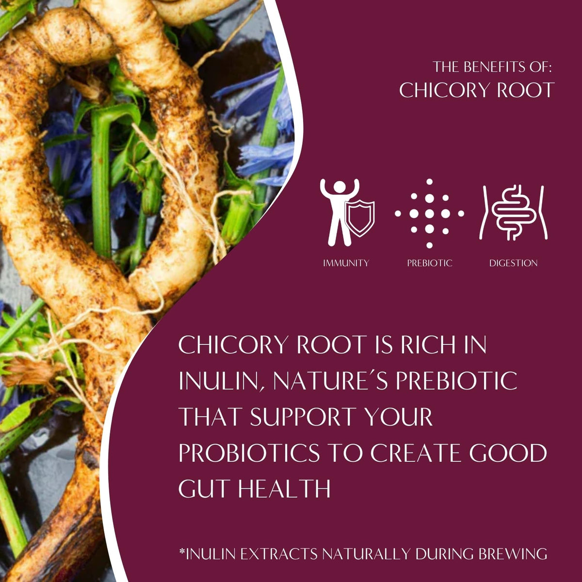 Teeccino chicory root inulin prebiotic fiber highlights gut-friendly option.