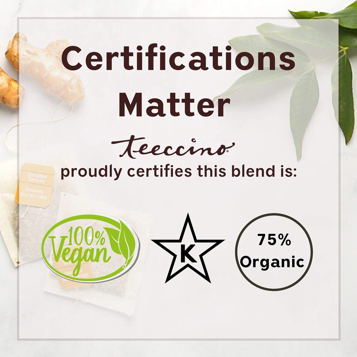 Teeccino Hazelnut Chicory inulin prebiotic image suggesting gut-friendly fiber.