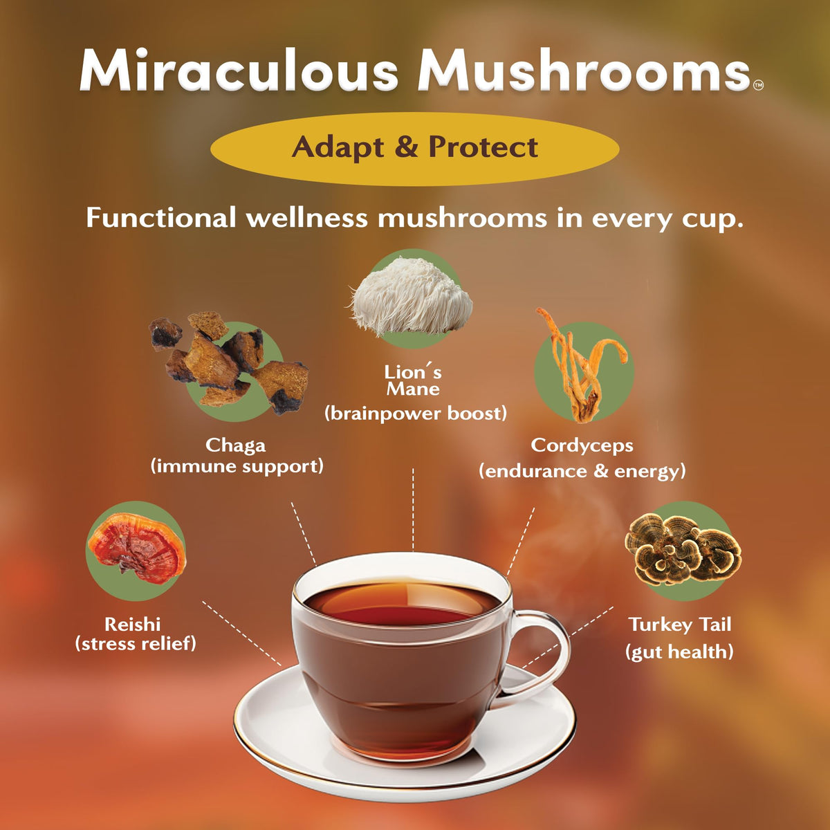Teeccino Miraculous Mushrooms Adapt & Protect Herbal Tea packaging close-up highlighting organic mushrooms