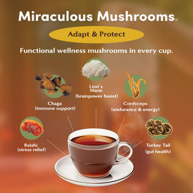 Teeccino Miraculous Mushrooms Adapt & Protect Herbal Tea packaging close-up highlighting organic mushrooms