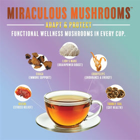 Teeccino Miraculous Mushrooms measuring scoop beside the grind.