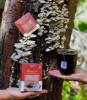 Packaging shows Teeccino Mushroom Tea and ingredients at a glance.