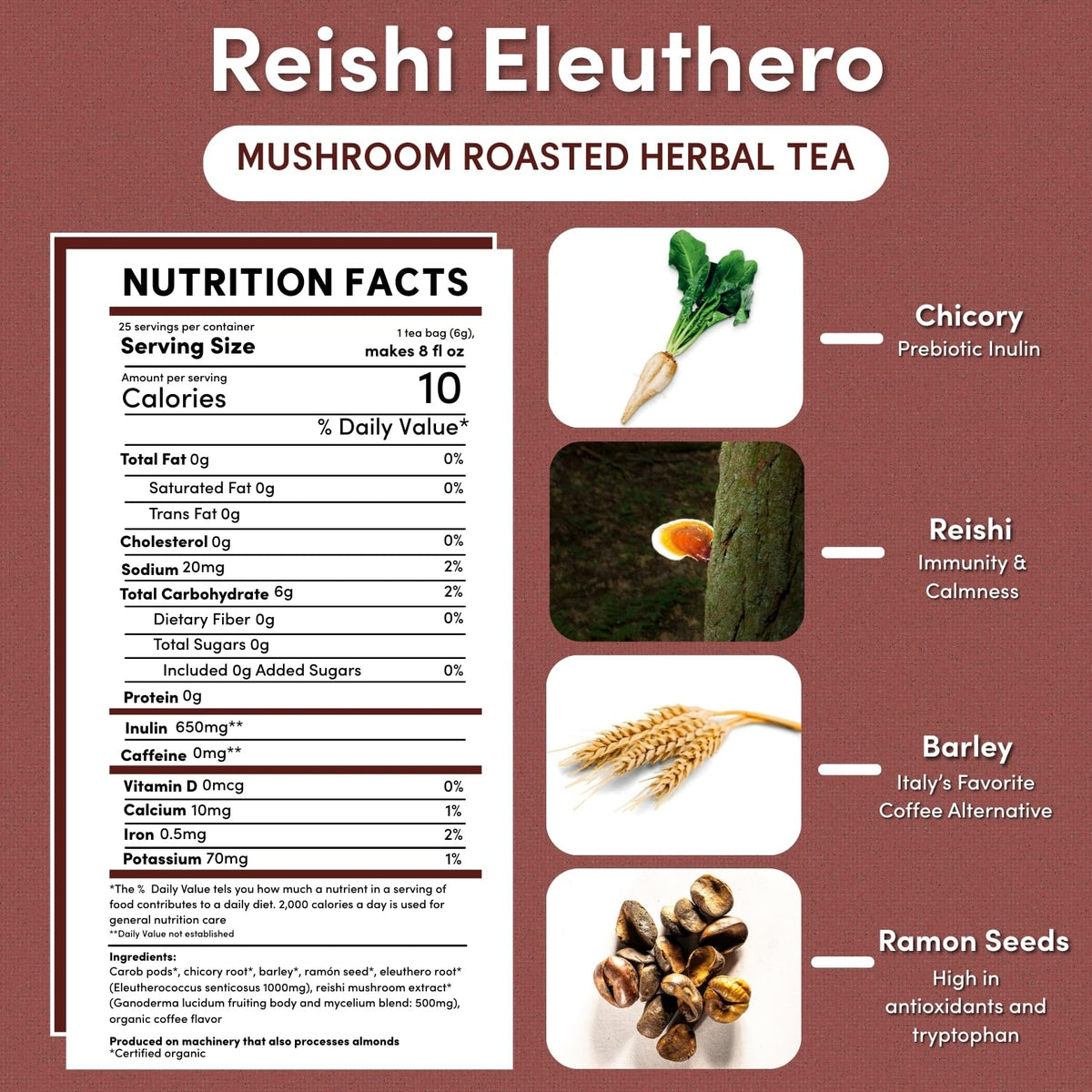 Teeccino Reishi Eleuthero Tea cup hot scene emphasizes caffeine-free comfort