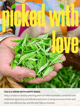 TeeLux hand-picked tea buds capture freshness in every cup.