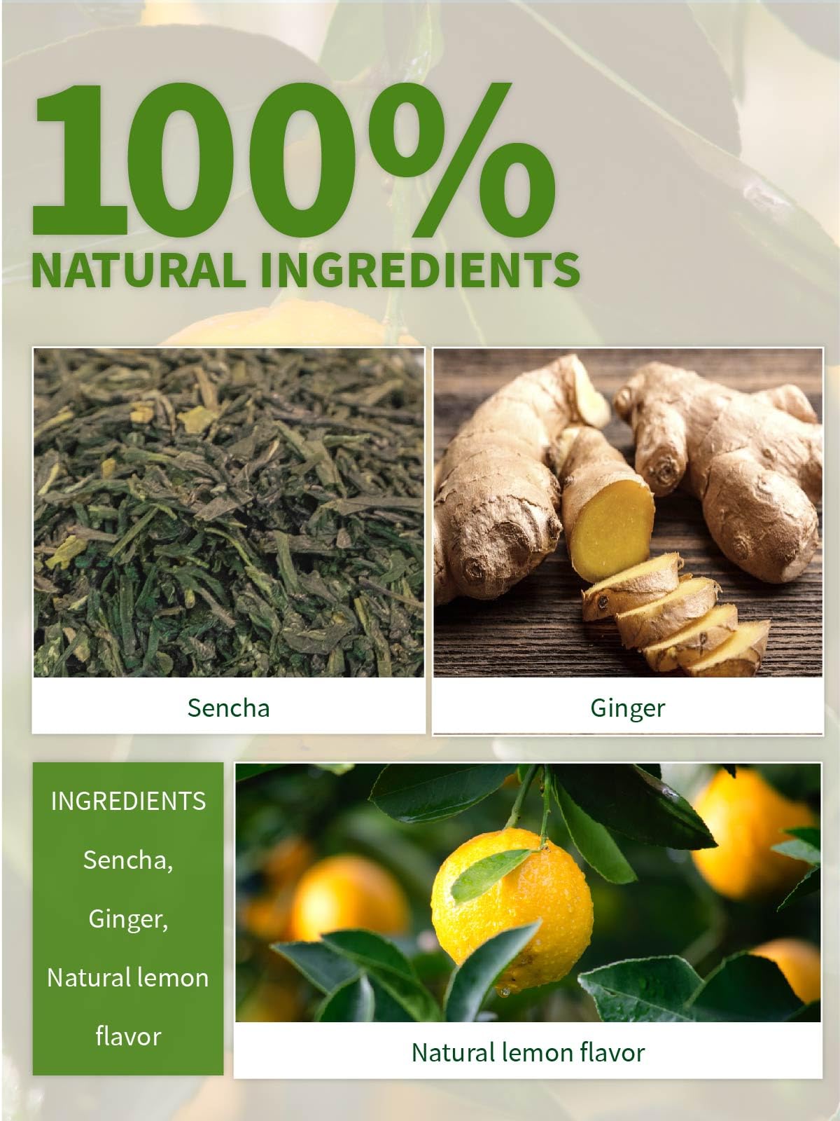 TeeLux pyramid tea bags promote deeper infusion for richer aroma and flavor.