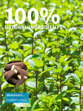 TeeLux Licorice Peppermint Tea label closeup shows natural ingredients.