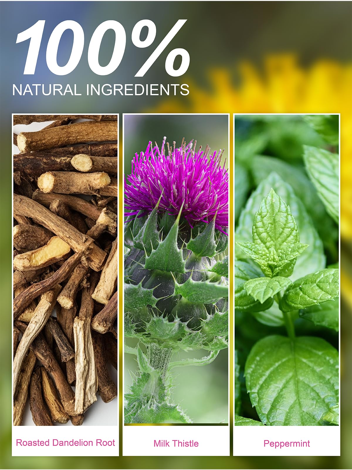 Teelux milk thistle peppermint tea bag promises refreshing, herbal flavor without caffeine
