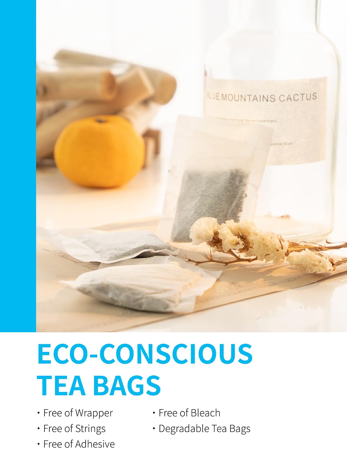 TeeLux spearmint tea bags in biodegradable pouch emphasize eco-conscious packaging
