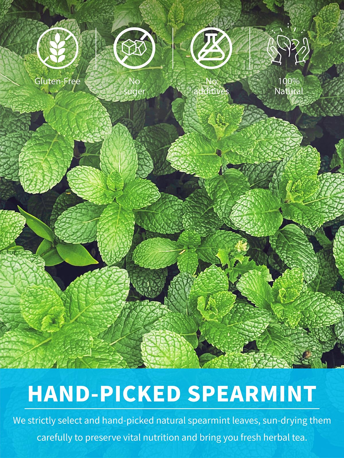 TeeLux spearmint tea bags steeping for a simple, aromatic brew