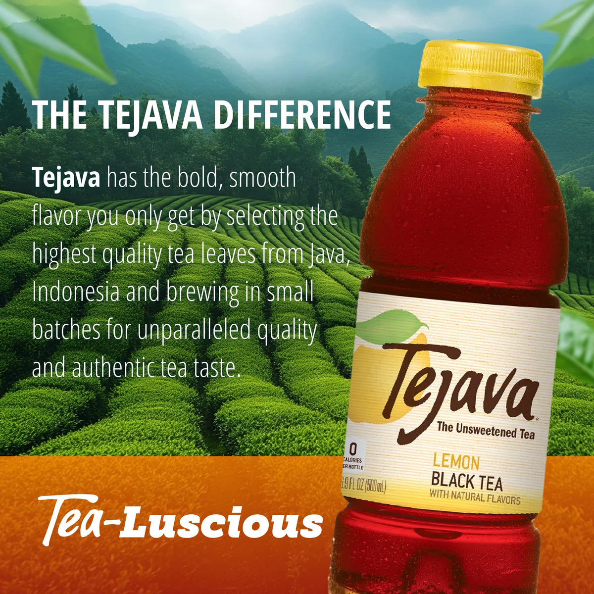 Tejava Lemon Black Tea bottle on a kitchen counter for easy refreshment.