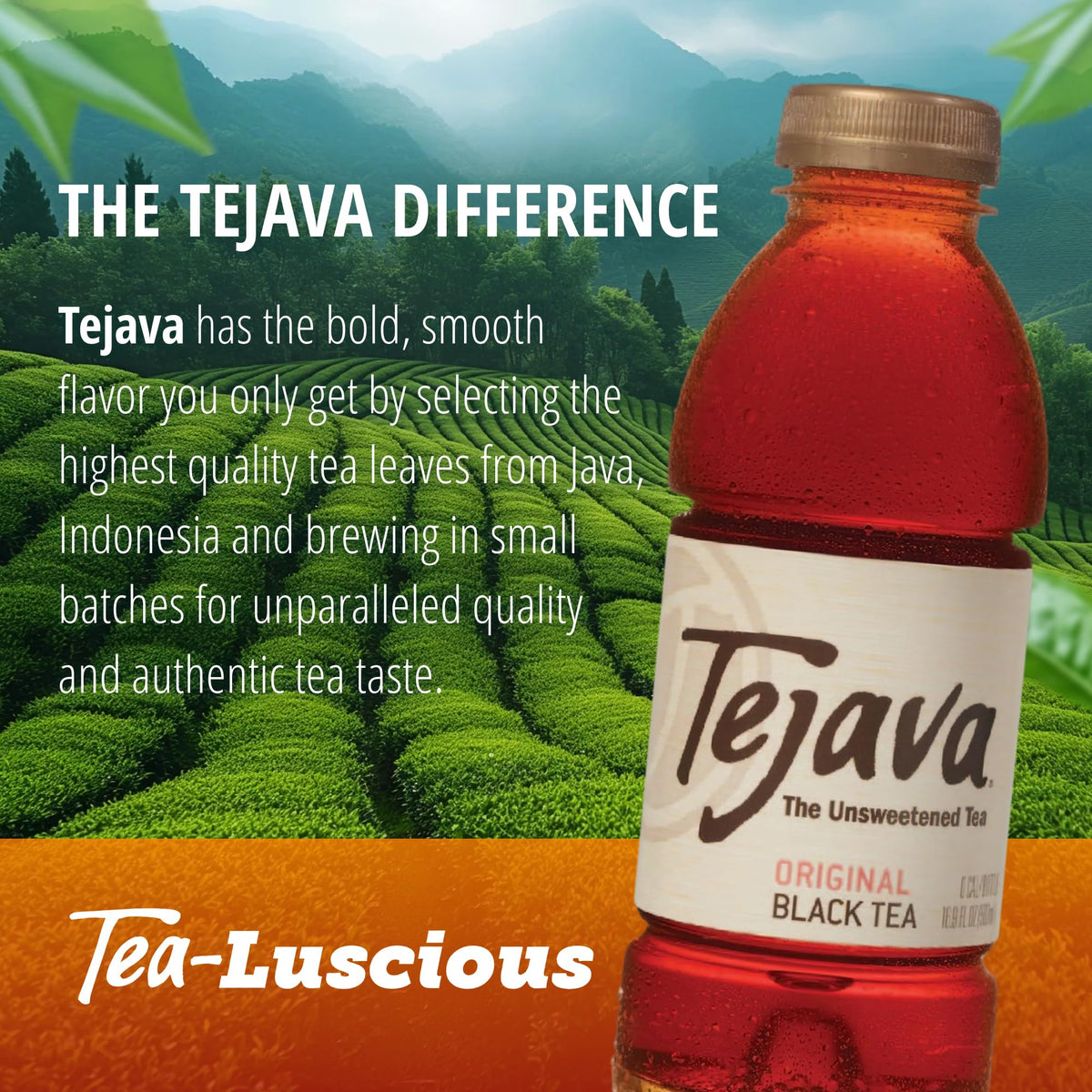 Tejava Original Black Tea served over ice, crisp and refreshing.