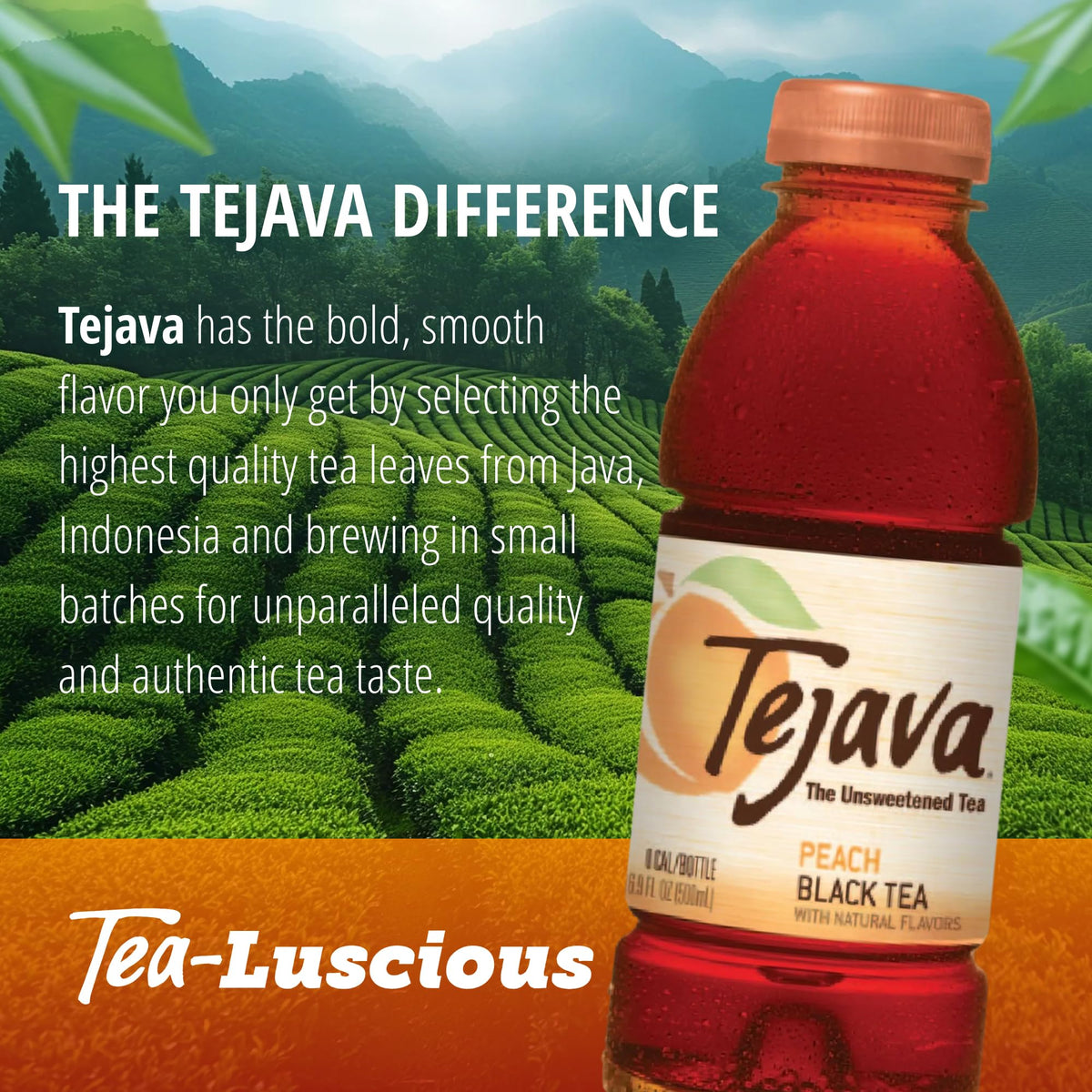 Tejava Peach Black Tea on shelf — premium iced tea for gatherings or quiet moments.