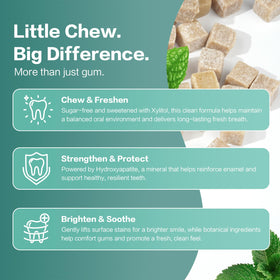 TemphytBong mint freshness shot highlighting long-lasting coolness.