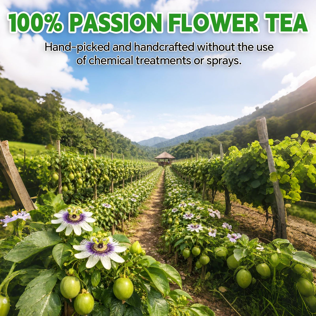Tenyxarae Caffeine-free, gluten-free vegan tea for sensitive palettes