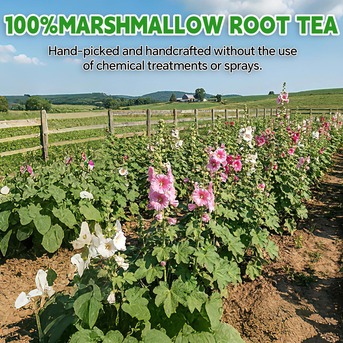 Tenyxarae eco-friendly tea bags preserve flavor with safe materials and packaging.