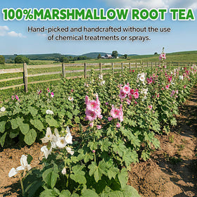 Tenyxarae eco-friendly tea bags preserve flavor with safe materials and packaging.