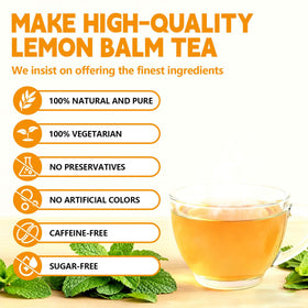 Tenyxarae lemon balm tea bags label on eco-friendly packaging.