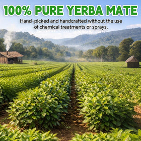 Tenyxarae natural ingredients label showing 100 percent yerba mate