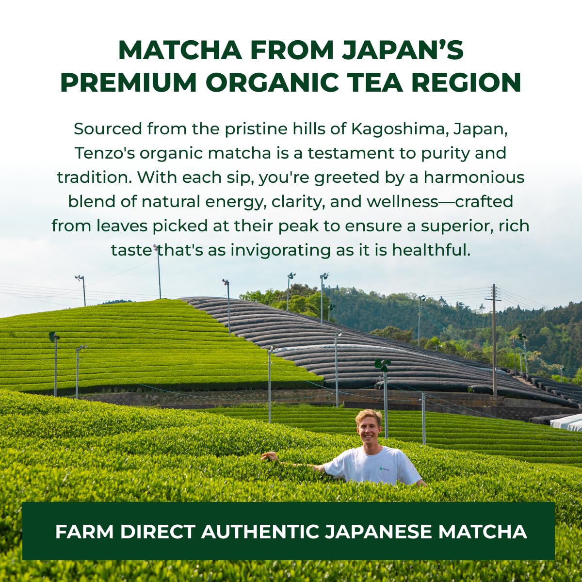 Tenzo Tea Matcha latte stir depicts smooth mixing into hot or cold drinks.