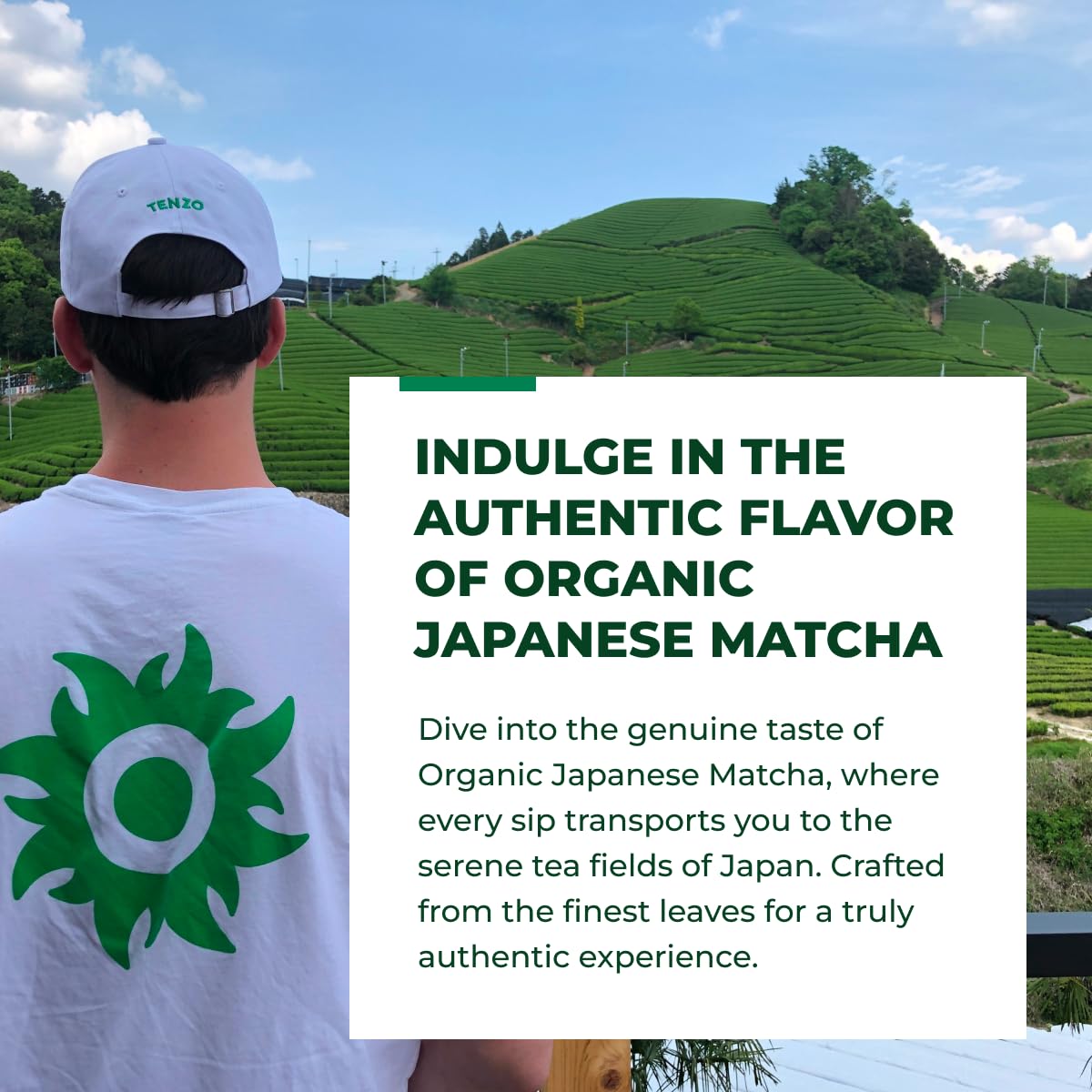 Steaming latte with Tenzo Matcha powder for a ceremonial-style drink