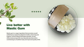 Terra Greek Chios Mastiha Tears Gum on shelf, traditional sourcing from Chios