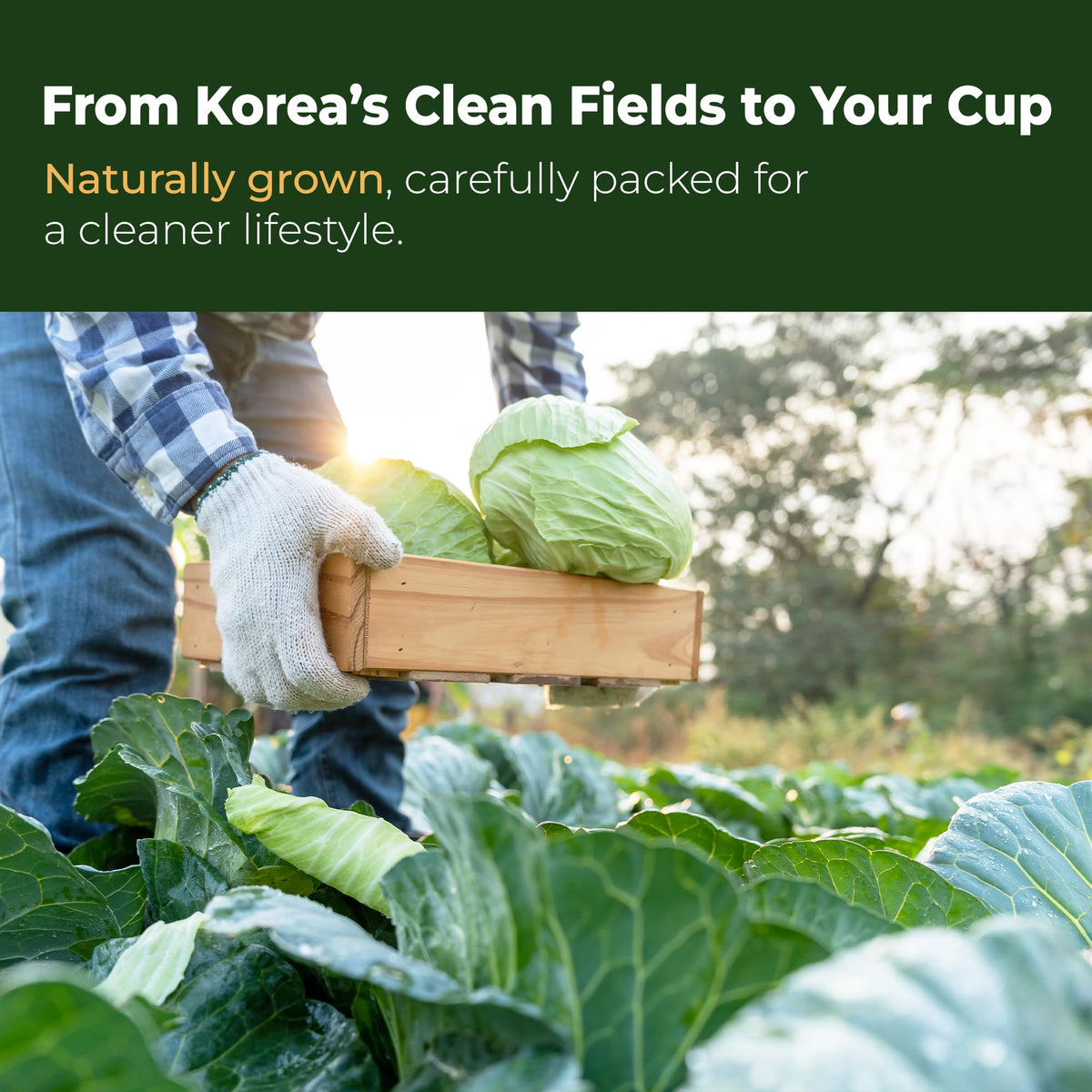 Terrapick no-additives-preservatives ensures a pure ingredient list.